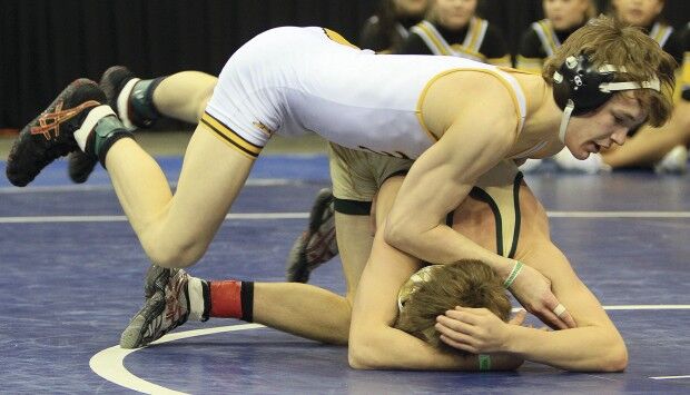Iowa state wrestling championships